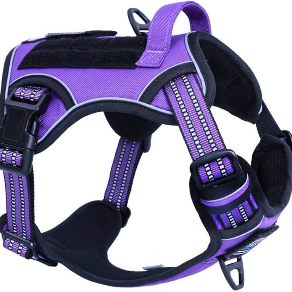 Purple dog harness